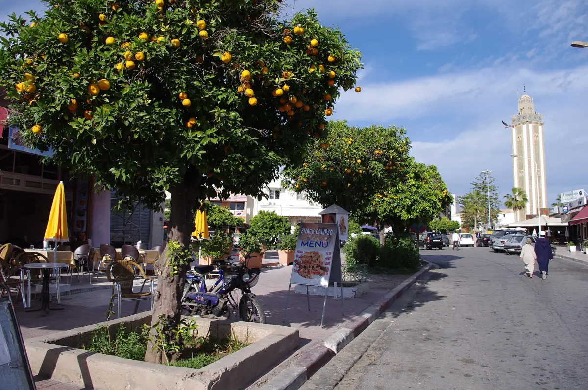 Eine Straße mit Orangenbäumen und Minarett in Agadir